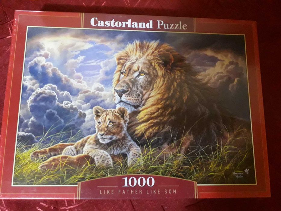Set de 3 puzzle!