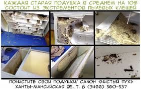 Чистка подушек, пух и перо