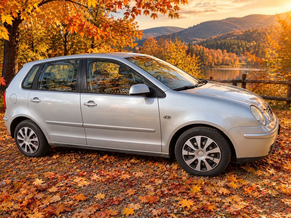 VOLKSWAGEN Polo 2002 — imagine 2