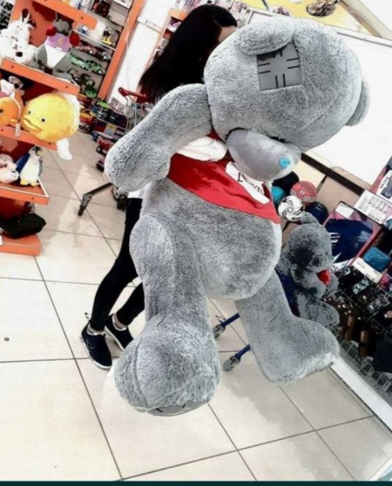 Teddi Teddiy ayiqchalar 60sm. 3metrgacha