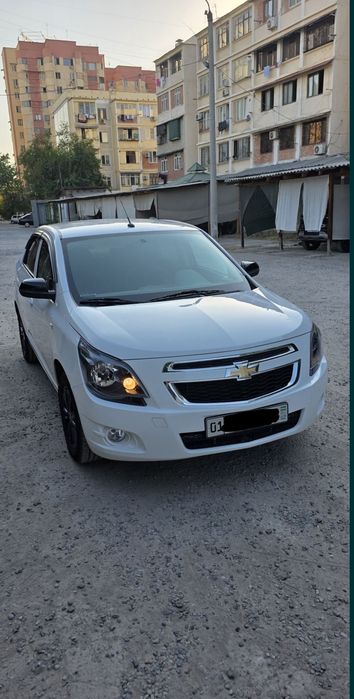 Cobalt oq midnight. Kraska toza. 2025 yil