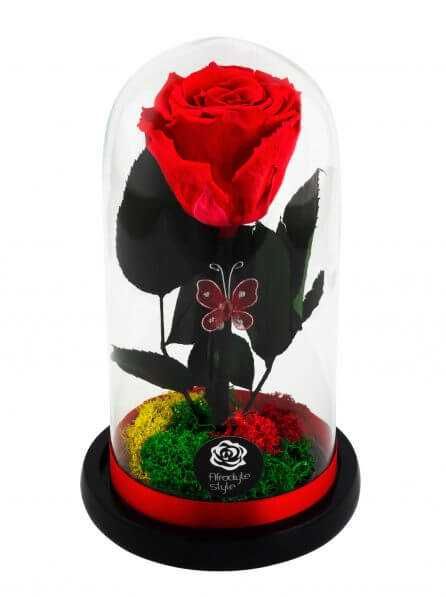 Trandafiri criogenati rosii