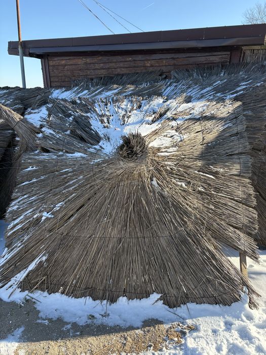 Sezlonguri si umbrele