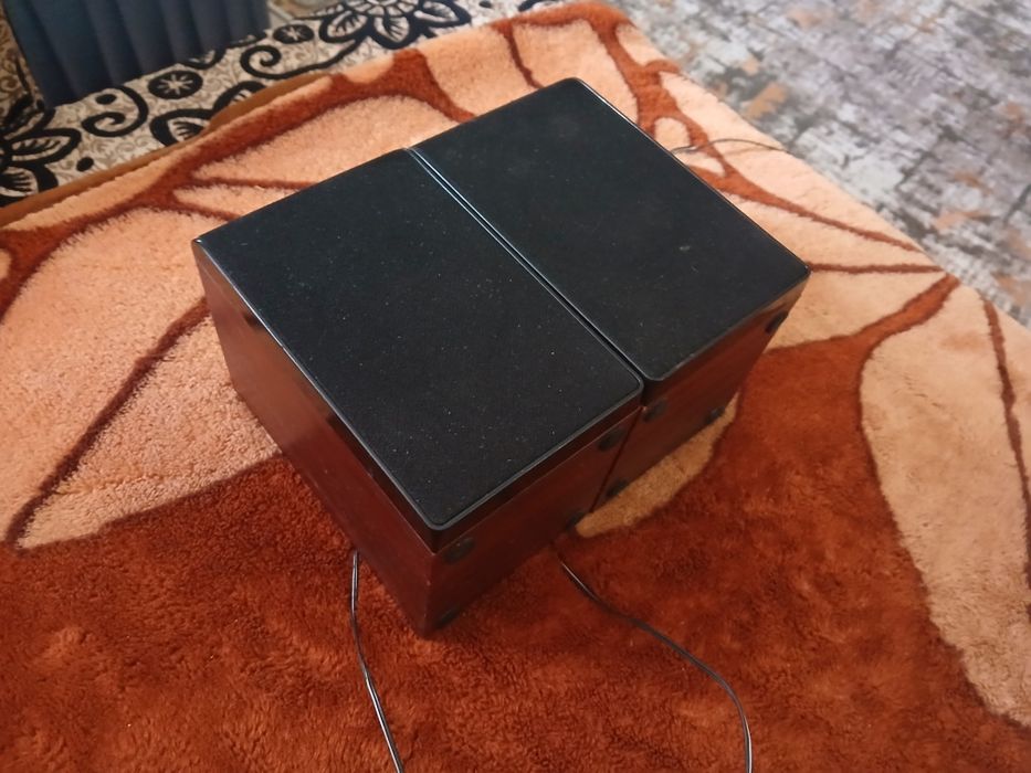 Speaker bluesky.
