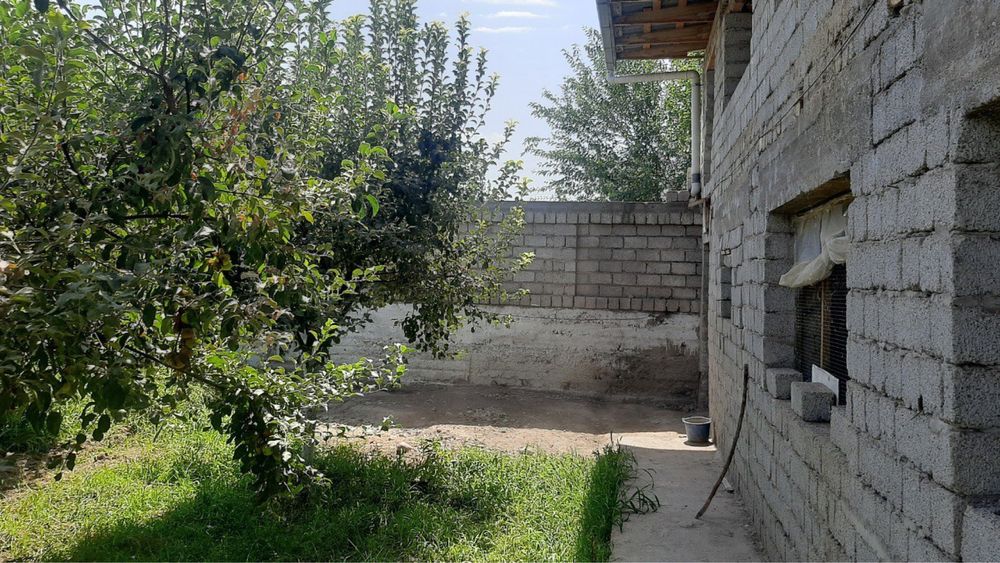 Hovli sotiladi - biznes va yashash uchun qulay joy!