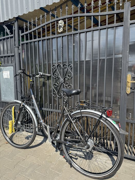 Vand bicilcleta Raleigh