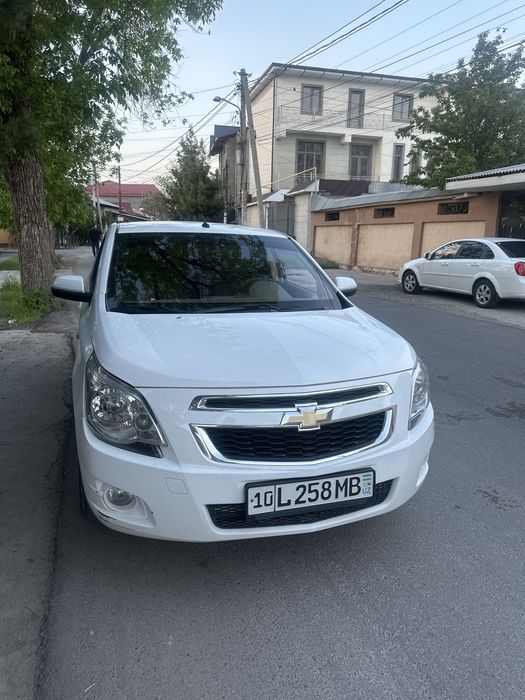Kobolt 2022 4 chi pozitsiya