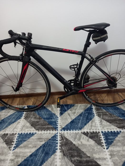 Semicursiera Focus Cayo