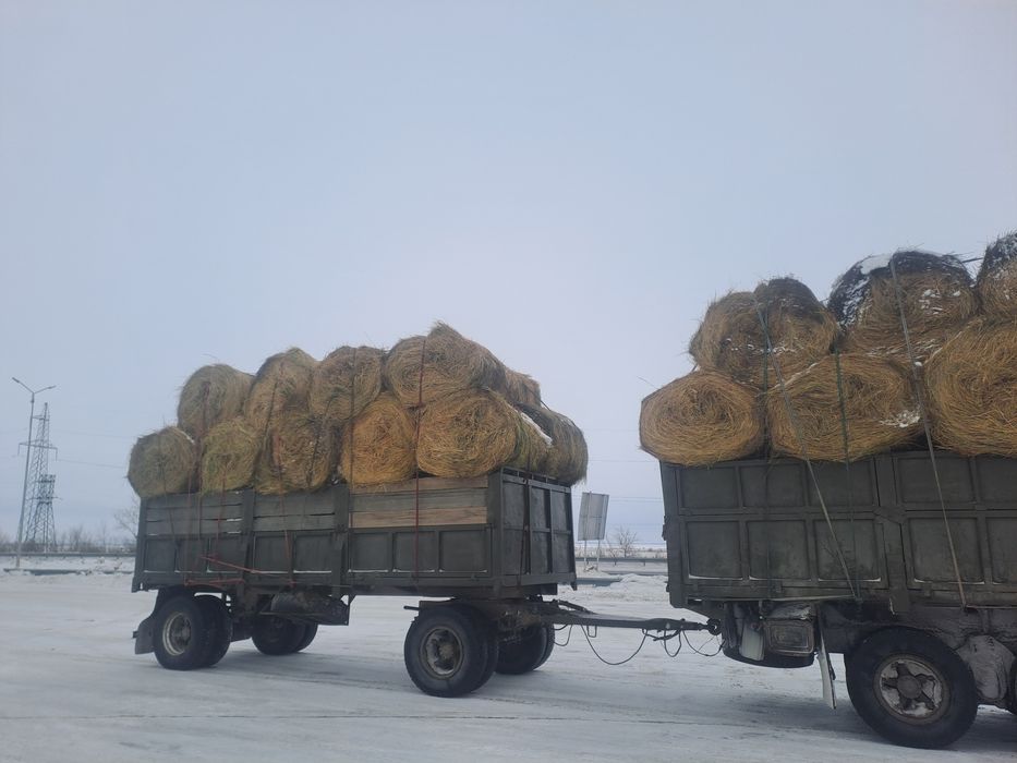 Сено.  Рулон. Шоп. 250 кг. АСТАНА.