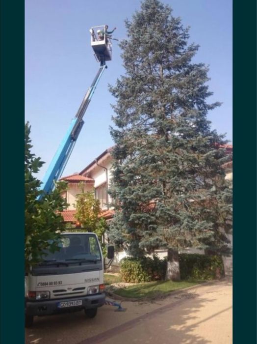 Автовишка услуги