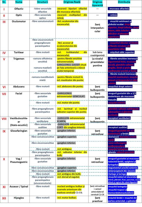 Meditații la BIOLOGIE pentru ADMITERE la facultatea de medicină