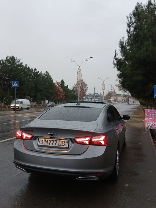 Malibu 2 xl 2023 Краска Тозза