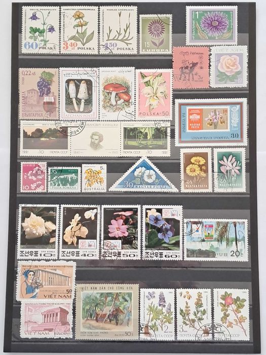 Пощенски марки тема ”Растения”.