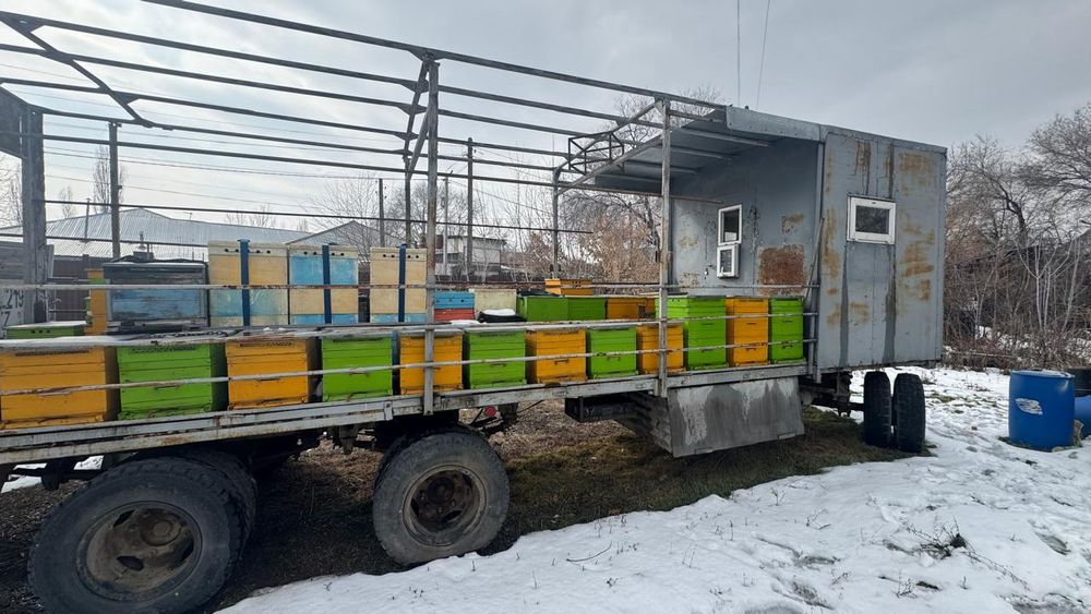 Пчелопавильон. Пчелы. Ульи. Мёд. Прицеп