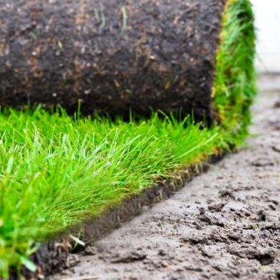 Доставка установка рулонного газона