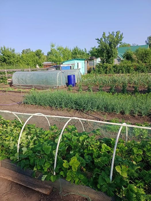 Дача-усадьба, с..Ивановка,Шикарная!!!