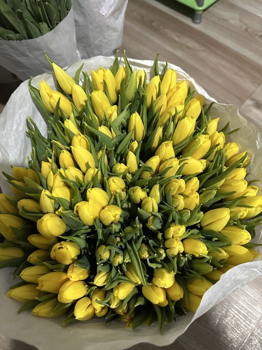 Тюльпаны свежие