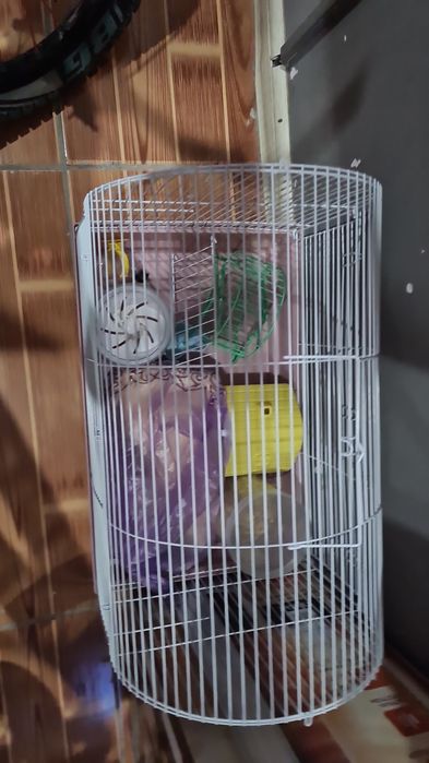 Сетка для хамяка