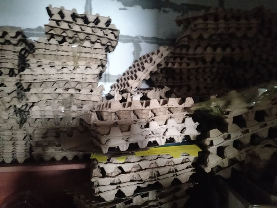 Пласмасовый пасуда для яицо