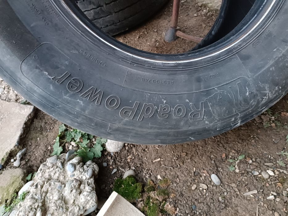 Прецепный болоны