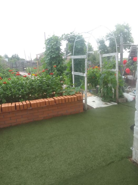 Продам дачу сад здоровье