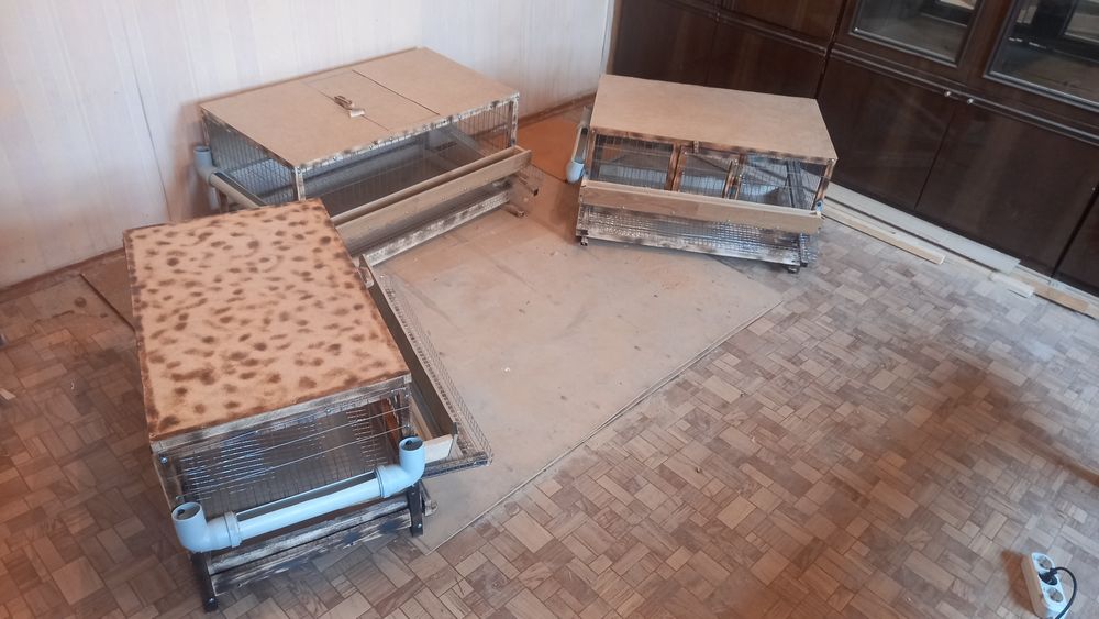 Клетки для перепелов несушек