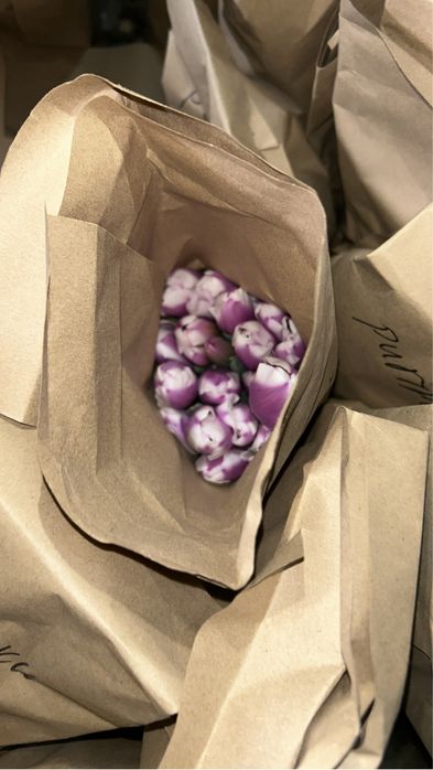 Тюлтпаны на 8 марта