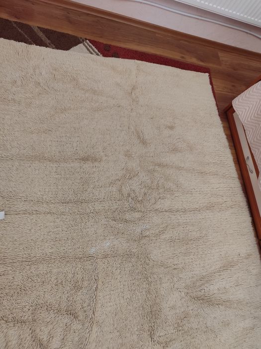 Запазен вълнен китеник