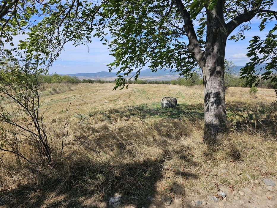 Продава се Парцел в Сапарева баня - 3096 кв.м за 7 €/кв.м - Снимка #2