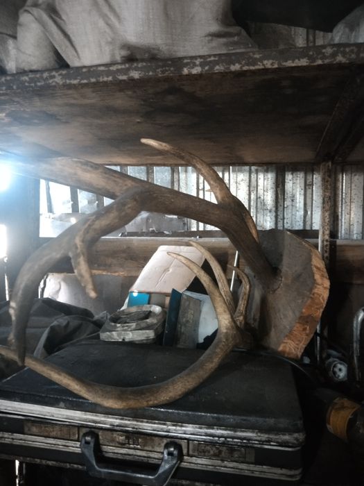 Продам. Продам .