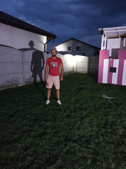 Plante ornamentale la ghiveci gazon rulou