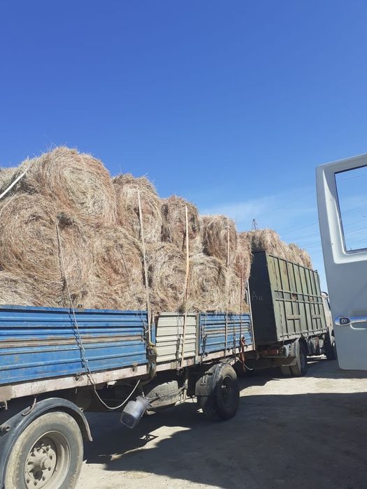 Рулон шөп сатыдады