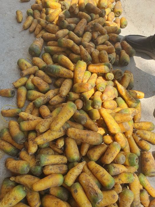 Sabzi sariq sotiladi