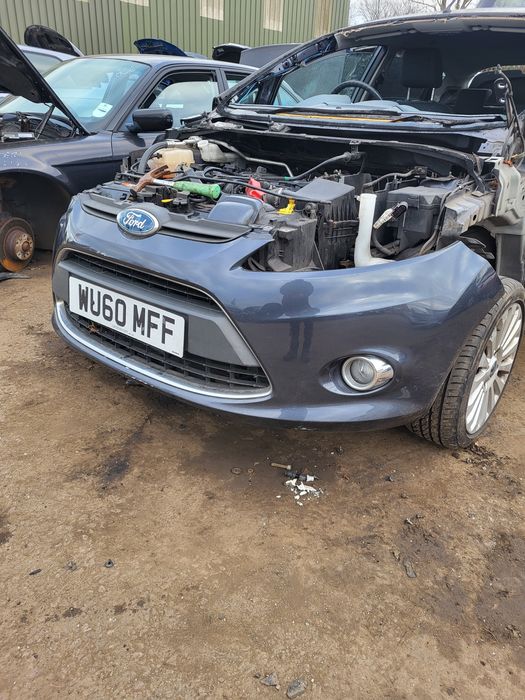 Bara fata fkrd fiesta an 2010