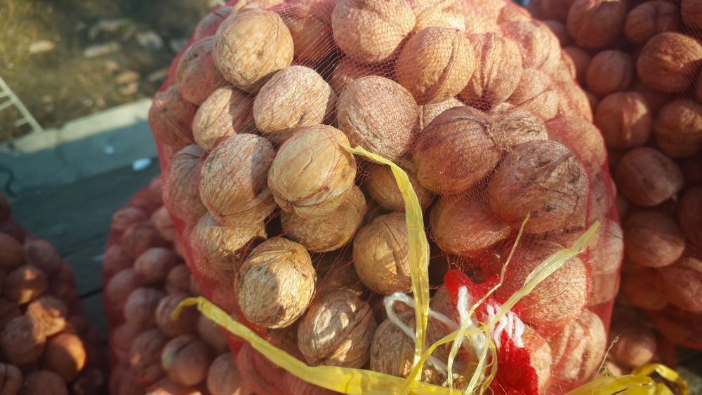 продам орехи грецкие домашние