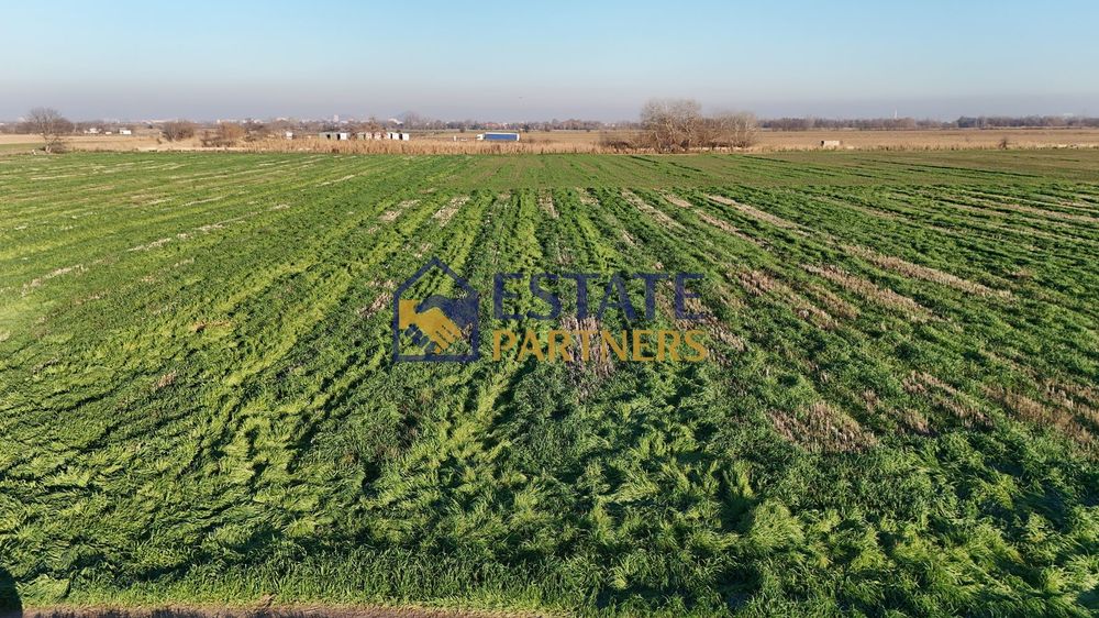 Продава се Парцел в с. Златитрап, Област Пловдив - 3000 кв.м за 13 €/кв.м - Снимка #1