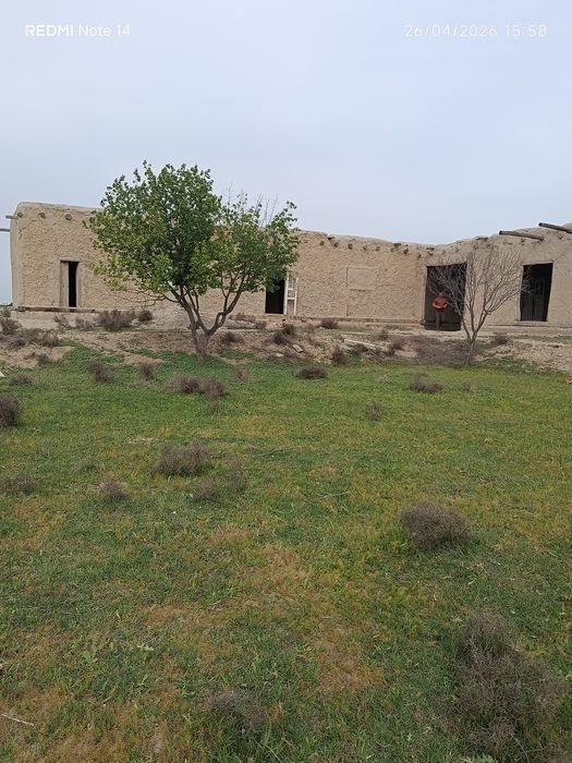 Uy sotiladi Shofirkon tumani Guliston qishlogʻi 32 sotix