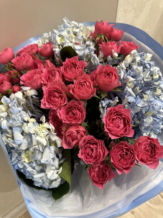 Цветы. Продам Срочно