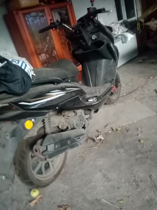 Мапет макси 2023