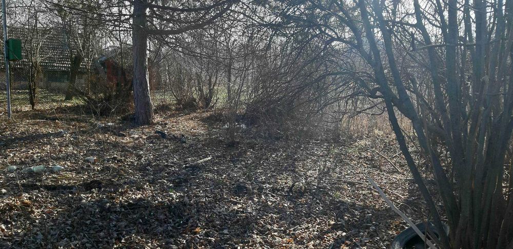 Продава се Парцел в Търговище, Вилна зона - 1050 кв.м за 11 €/кв.м - Снимка #3