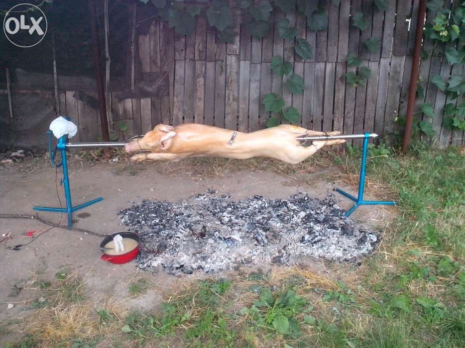 Rotisor protap electric 12/220V nou din inox pt purcel miel berbecut