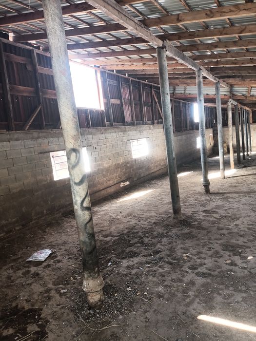 Продается готовая ферма...