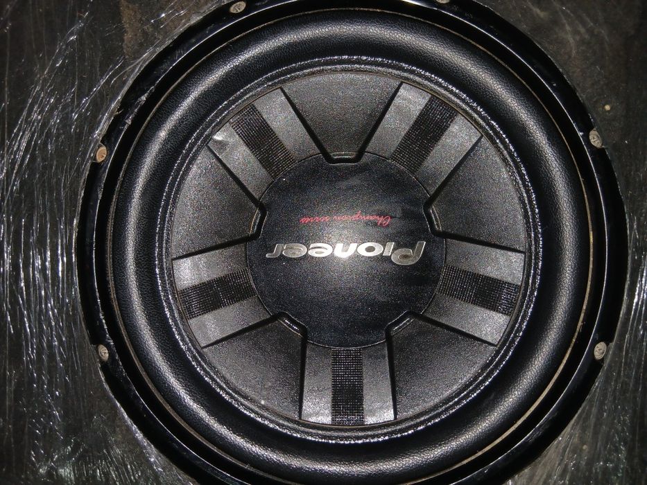 Pioneer chempion