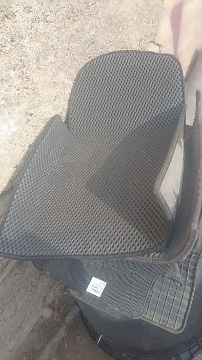 Эва Полик Магнитола