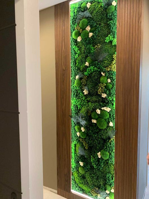 Интериорно озеленяване с естествен скандинавски мъх