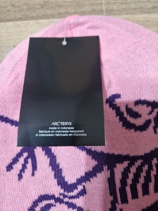 Arc'teryx beanie y2k vintage