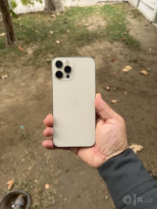 iphone 12 pro max gold