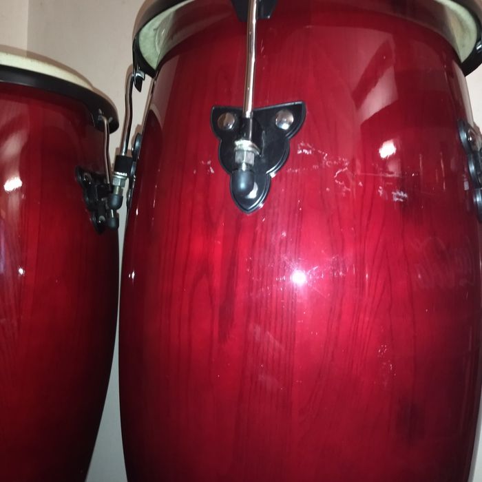 Професионални конги