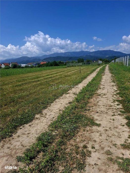 Teren extravilan de vanzare Talmaciu