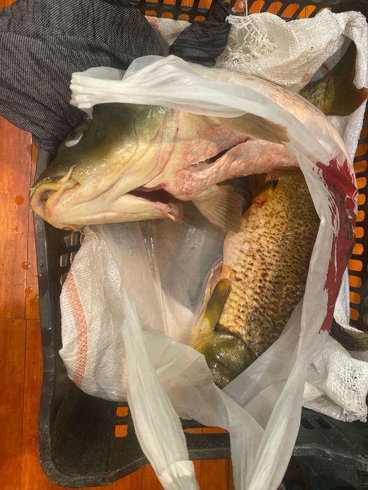 Рыбалка, проточная вода. Огромные пруды